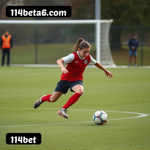 App 114bet para iOS e Android — interface mobile, login biométrico e PIX integrado